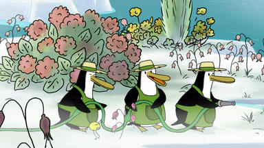 Polo - Der Tag, An Dem Die Pinguine Einen Garten Anlegten