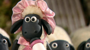 Shaun, Das Schaf - Die Nichte Des Farmers\/der Besucher