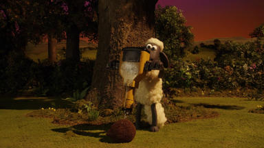 Shaun, Das Schaf - Die Kokosnuss