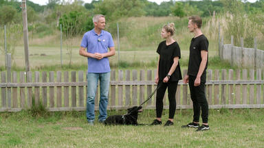 Der Hundeprofi - Rütters Team - Kenzo Stellt Sein Herrchen Vor Große Herausforderungen.