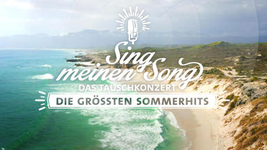 Sing Meinen Song - Das Weihnachtskonzert - Sing Meinen Song - Die Größten Sommerhits