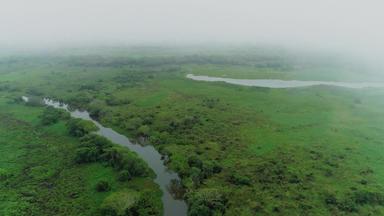 Wildes Lateinamerika - Das Pantanal