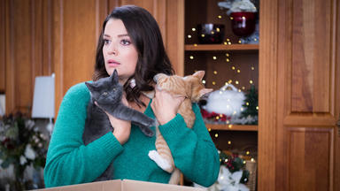 Neun Kätzchen Zu Weihnachten - Eine Samtige Bescherung 2 - Neun Kätzchen Zu Weihnachten - Eine Samtige Bescherung 2