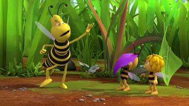 Die Biene Maja - Der Neue Schüler
