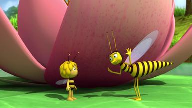 Die Biene Maja - Die Falsche Wespe