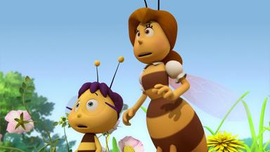 Die Biene Maja - Die Austauschbiene