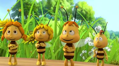 Die Biene Maja - Der Bienentanz