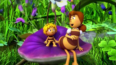Die Biene Maja - Ein Picknick Mit Pfeffer