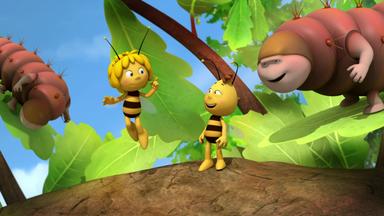 Die Biene Maja - Die Raupenwanderung