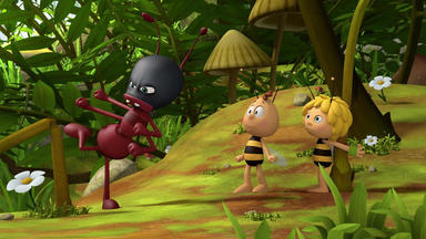 Die Biene Maja - Eine Ameise Namens Kung-fu