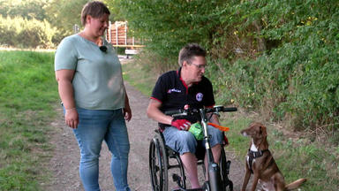 Der Hundeprofi - Rütters Team - U.a.: Mischling Leo Randaliert An Der Leine