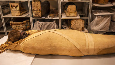 Das Kokain-rätsel - Drogen-mumien Im Alten Ägypten - Das Kokain-rätsel - Drogen-mumien Im Alten ägypten