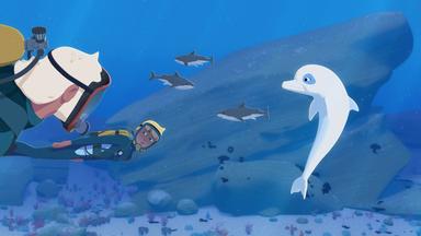 Zoom - Der Weiße Delphin - Die ölpest