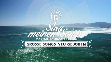 Sing Meinen Song - Das Weihnachtskonzert - Sing Meinen Song - Große Songs, Neu Geboren