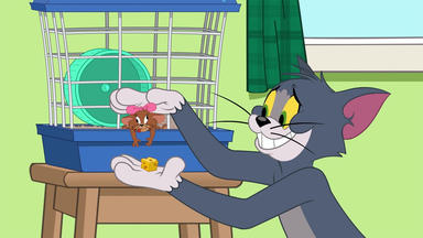 Die Tom Und Jerry Show - Hamsteralarm