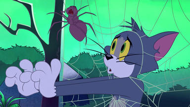 Die Tom Und Jerry Show - Tom, Die Spinne