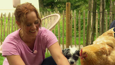 Hundkatzemaus - Kate Besucht Hühnerhalterin Jenny Kreitz In Overath.
