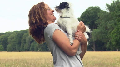 Hundkatzemaus - Hundekommunikation Durch Körpersprache