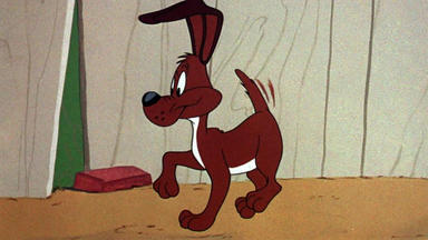 Bugs Bunny & Looney Tunes - Bellen Verboten!