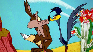 Bugs Bunny & Looney Tunes - Einfälle Und Reinfälle