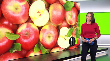 Ntv Service - Thema U. A.: Ein Gutes Stück Gesundheit - äpfel
