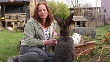 Hundkatzemaus - Sind Kaninchen Wirklich Kostengünstige Haustiere?