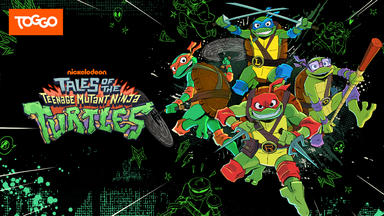 Die Abenteuer Der Teenage Mutant Ninja Turtles - Leo-nerd-os Solomission