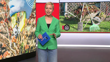 Ntv Service - Thema U.a.:  So Machen Sie Ihren Garten Winterfest