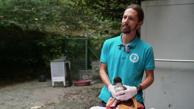 Martin Rütters Tierheimhelden - Zu Besuch Im Tierschutzzentrum Weidefeld