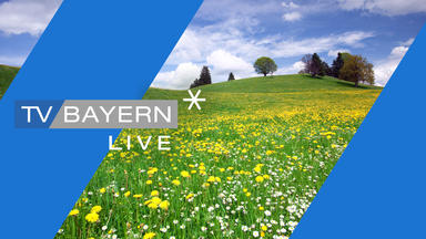 Tv Bayern Live - Sendung Vom 08.02.2025